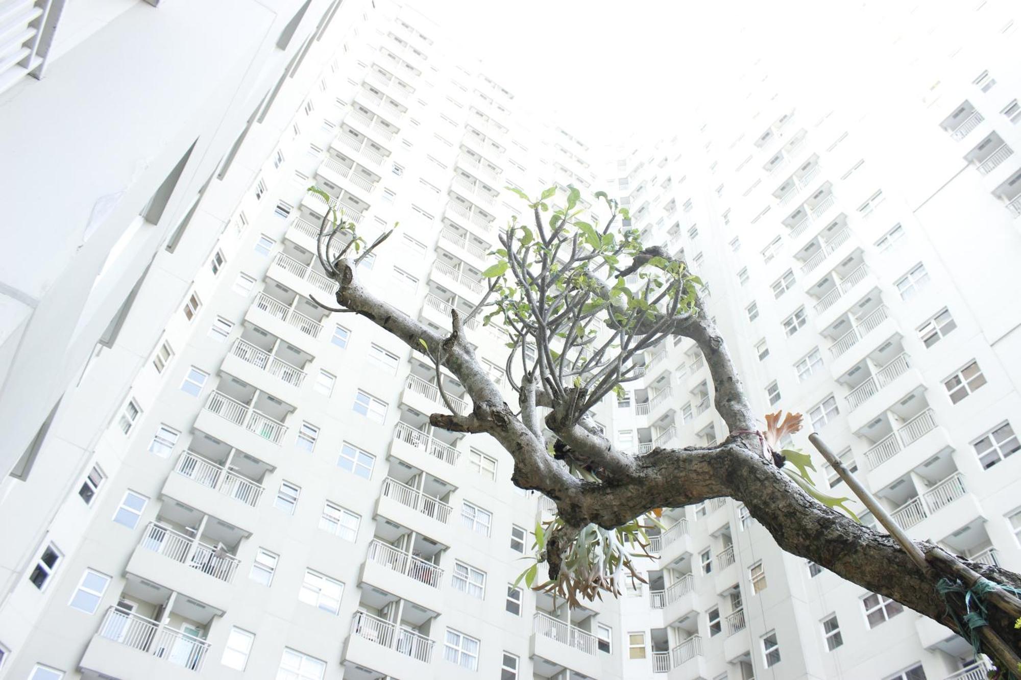 Minimalist And Spacious 1br At Parahyangan By Travelio Bandung